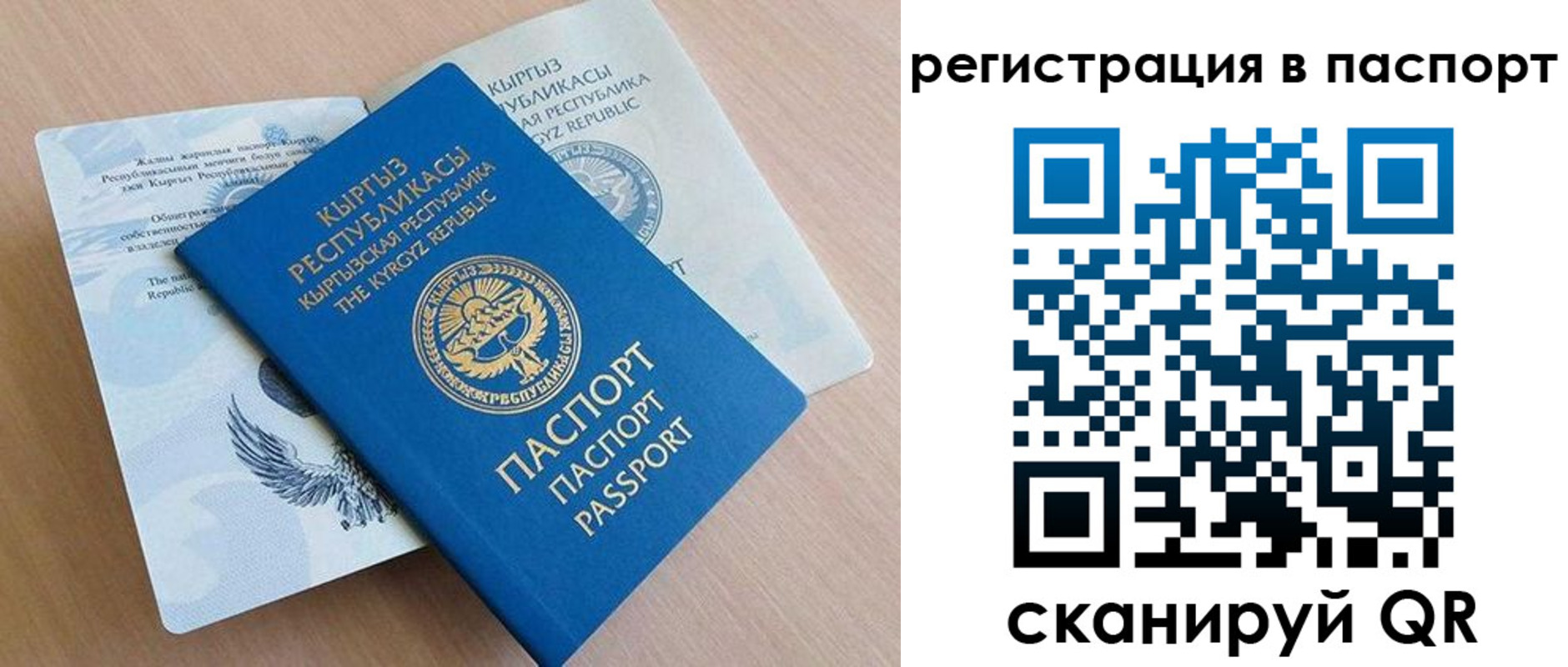 прописка законно в Шадринске